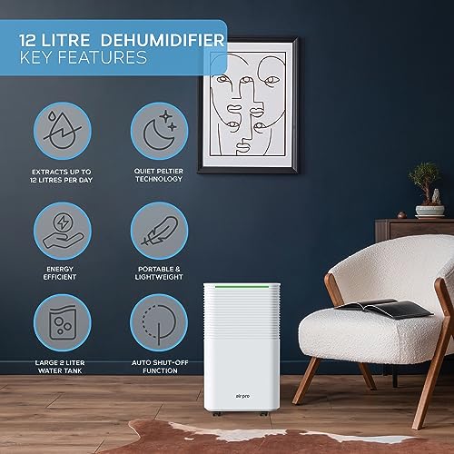Air Pro 12 L/Tag Digitaler Luftentfeuchter – Groß 2L Tank