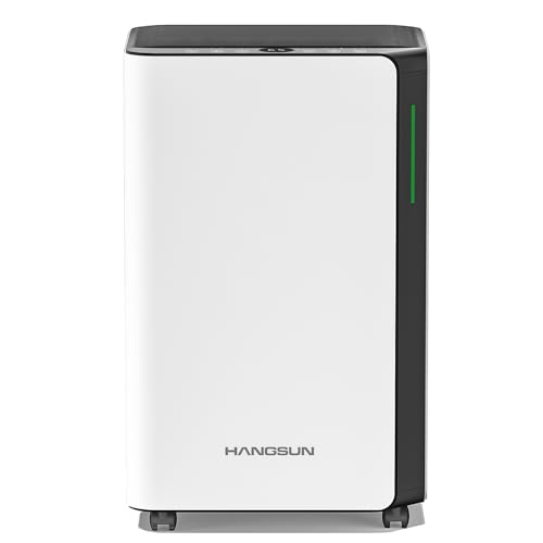 HANGSUN 20 L/Tag Luftentfeuchter für Luftentfeuchter für Zuhause für Drying Clothes und Feuchtigkeit