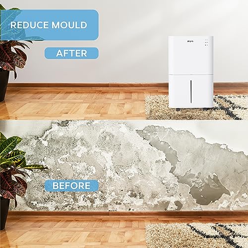 Air Pro 25 L/Tag Digitaler Luftentfeuchter – WLAN-App – großer 4-L-Tank
